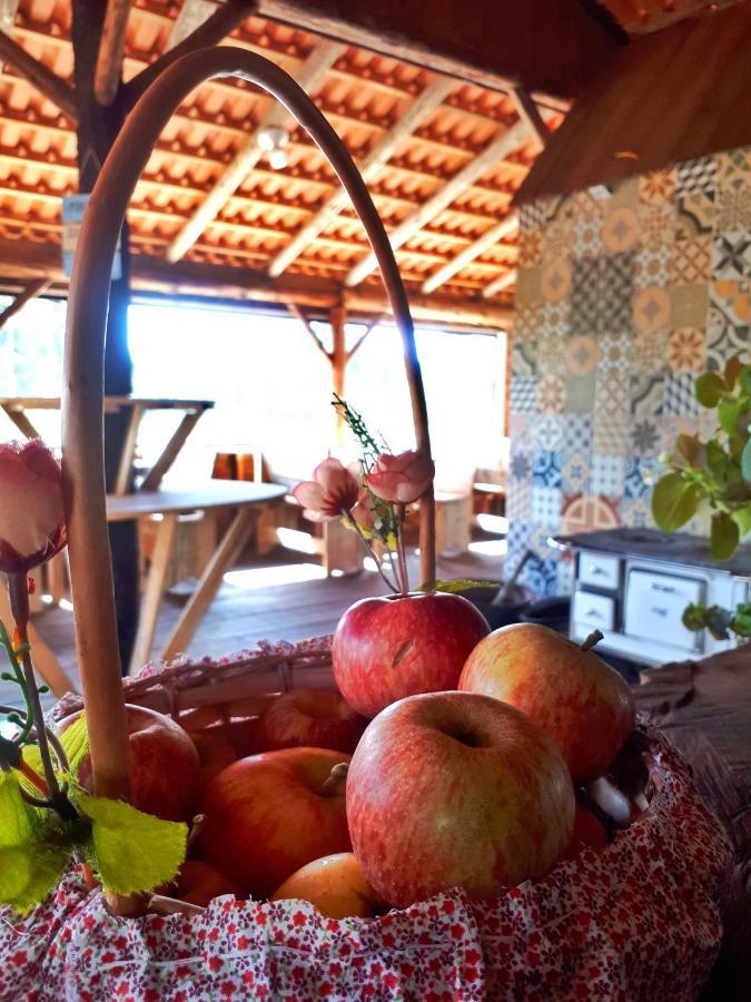 Fazenda Invernada Grande Turismo Rural Бон-Жардин-да-Серра Экстерьер фото