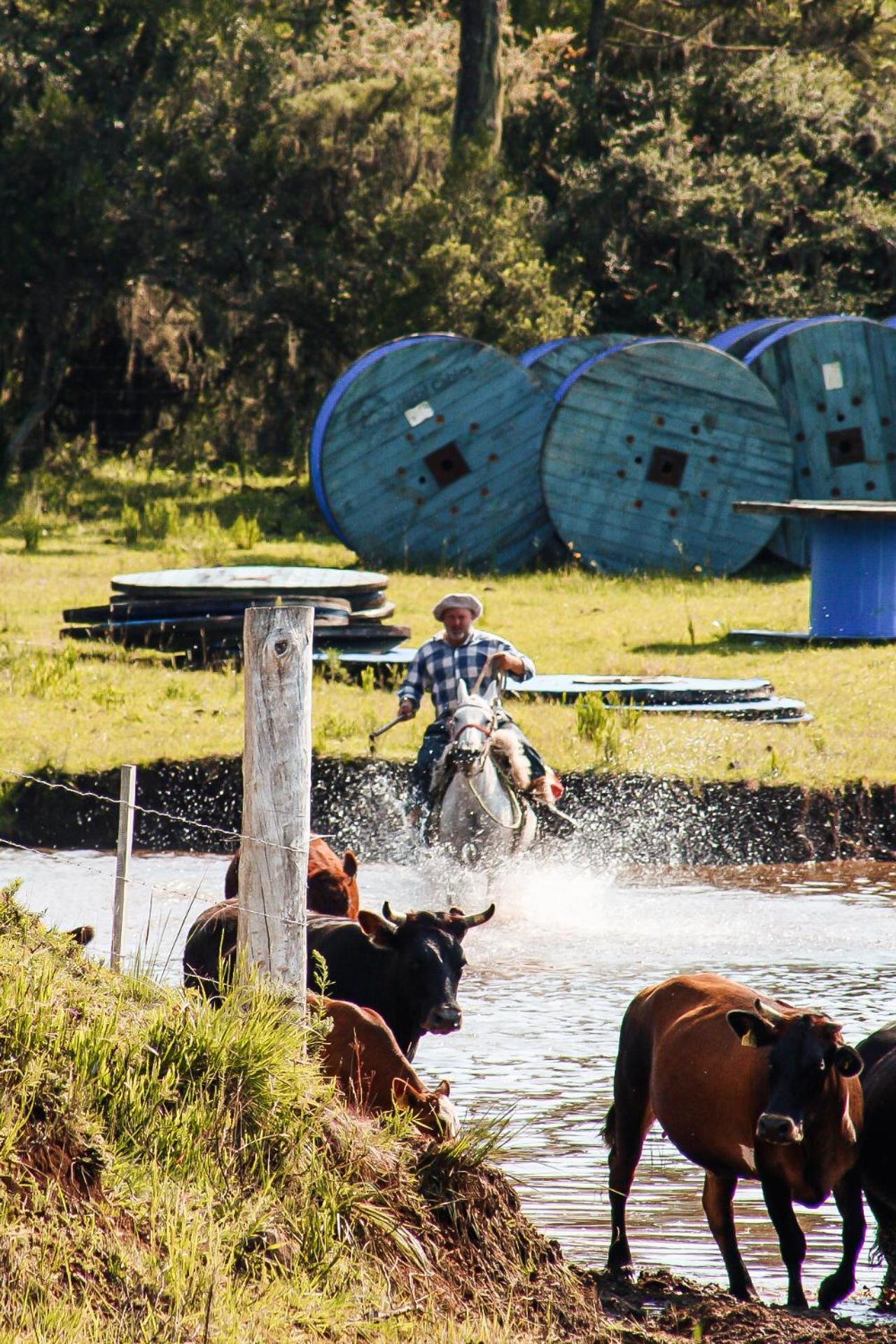 Fazenda Invernada Grande Turismo Rural Бон-Жардин-да-Серра Экстерьер фото